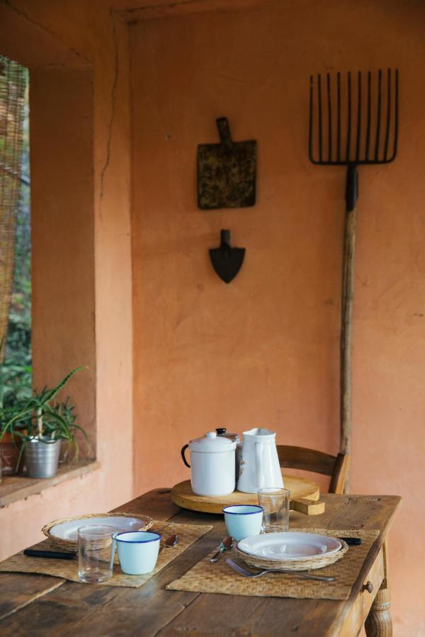 Studio/Flat Rustic Tuscan Marziani 2 Capannori Kültér fotó