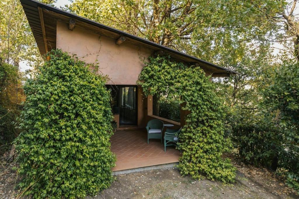 Studio/Flat Rustic Tuscan Marziani 2 Capannori Kültér fotó