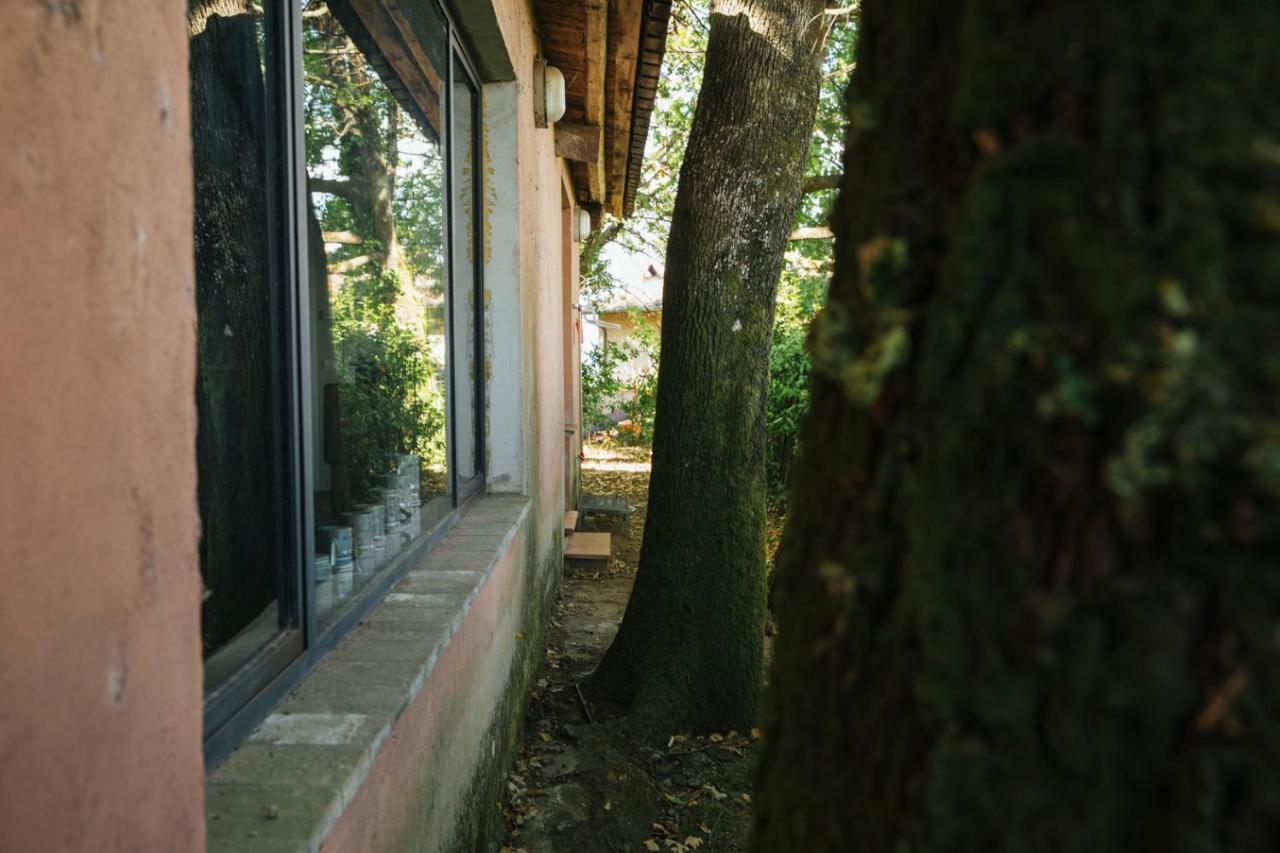 Studio/Flat Rustic Tuscan Marziani 2 Capannori Kültér fotó